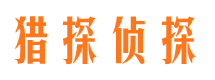 惠东市场调查